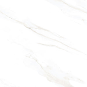 
                  
                    DUMIK STATUARIO Feinsteinzeug Fliesen 60x120 cm anpoliert
                  
                