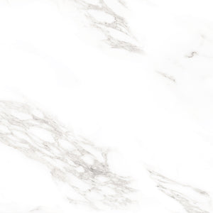 
                  
                    ELEGANT WHITE Feinsteinzeug Fliesen 60x120 cm poliert
                  
                